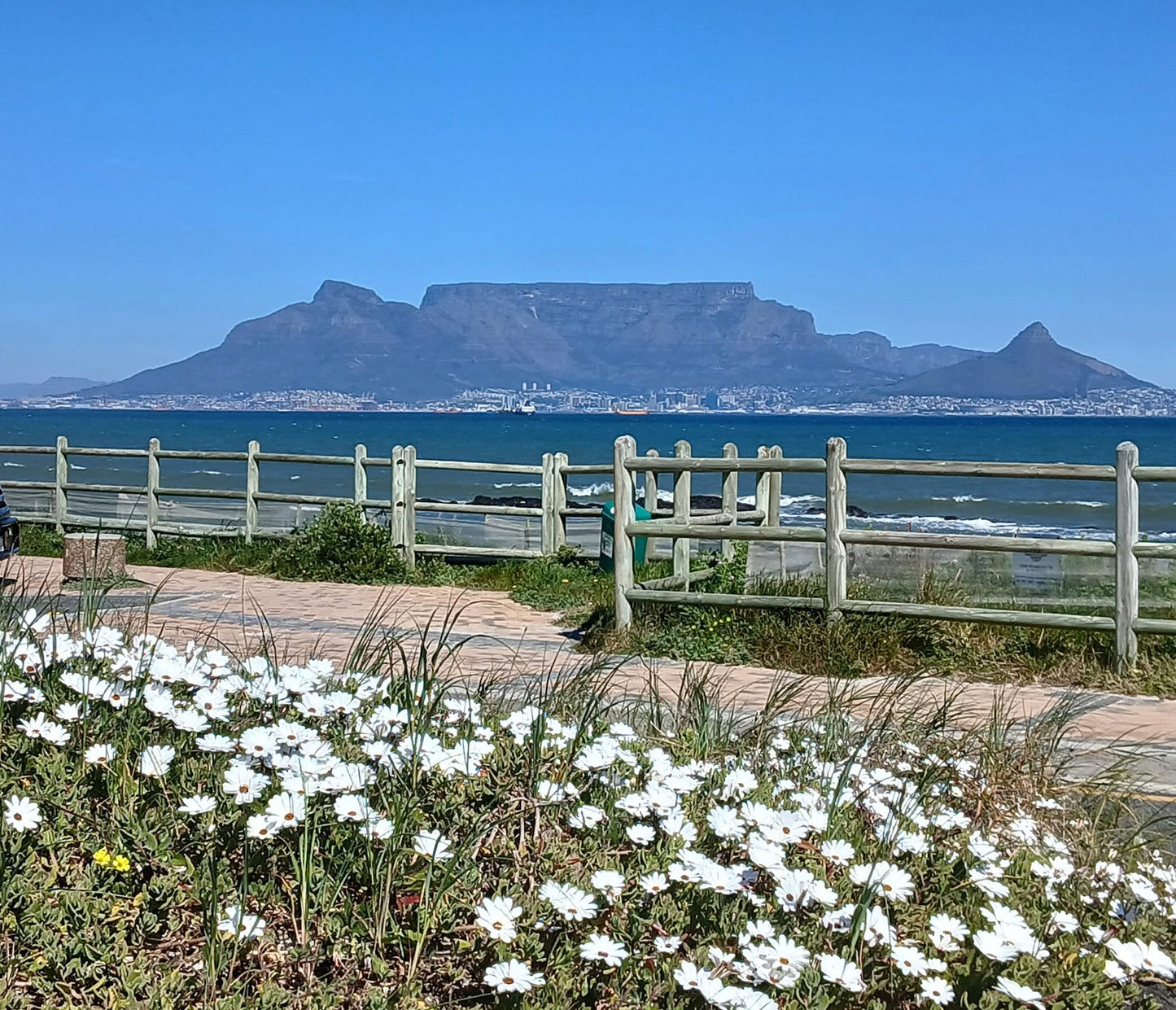 Retreat — Thanksgiving South Africa 2025 (Cape Town • Winelands • Private Safari) EARLY-BIRD SALE