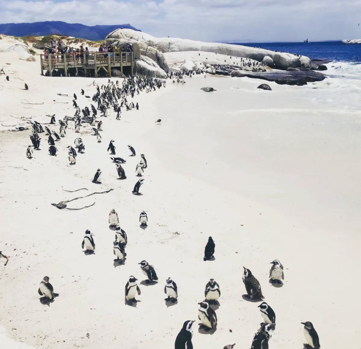 The Gratitude Homecoming Retreat 1-5 December Cape Town